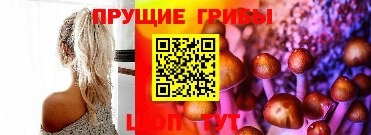 Лосино-Петровский  Псилоцибиновые грибы Psilocybe  как найти закладки  Галлюциногенные грибы Magic Shrooms  Вход с VPN 