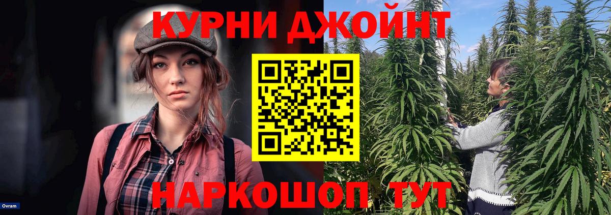 Конопля план Лосино-Петровский